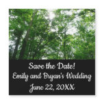 Looking Up to Summer Trees Save the Date