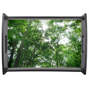 Looking Up to Summer Trees Serving Tray
