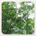 Looking Up to Summer Trees Square Paper Coaster