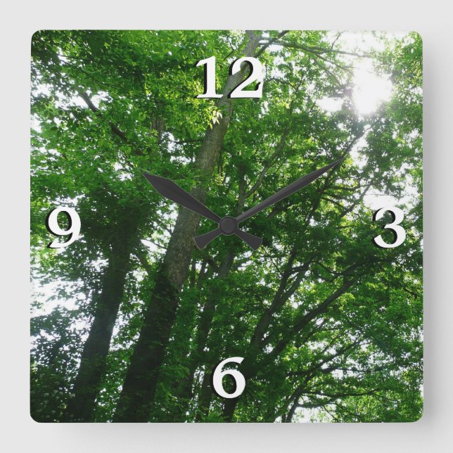 Looking Up to Summer Trees Square Wall Clock (Front)