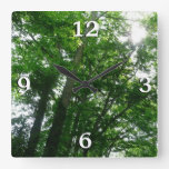 Looking Up to Summer Trees Square Wall Clock