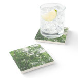 Looking Up to Summer Trees Stone Coaster