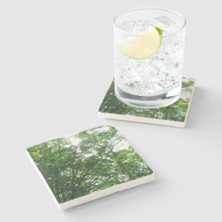 Looking Up to Summer Trees Stone Coaster