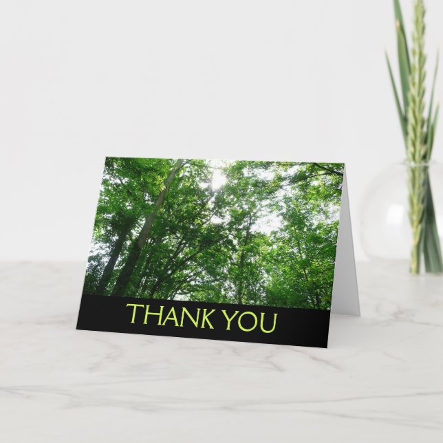 Looking Up to Summer Trees Thank You Card (Front)