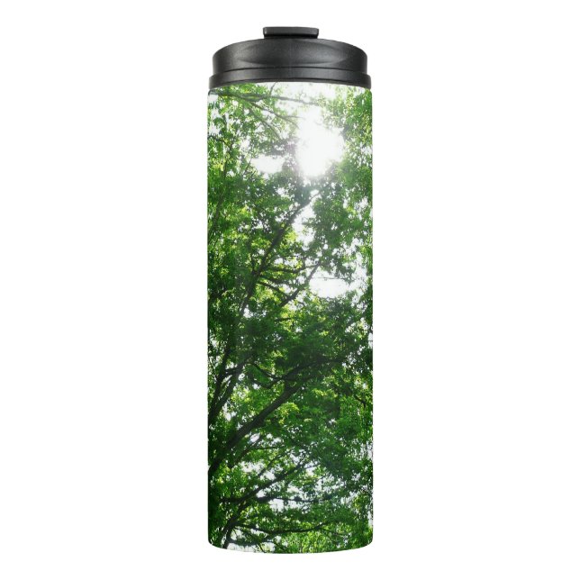 Looking Up to Summer Trees Thermal Tumbler (Front)