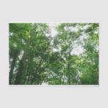 Looking Up to Summer Trees Tissue Paper