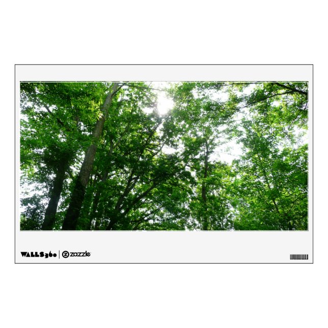 Looking Up to Summer Trees Wall Decal (Front)