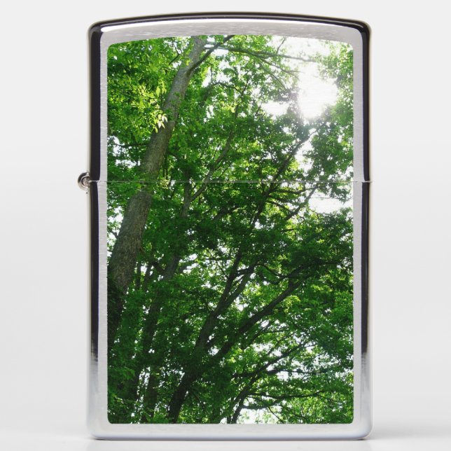 Looking Up to Summer Trees Zippo Lighter (Front)