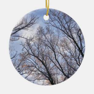 Looking Up to Winter Morning Trees Ceramic Ornament