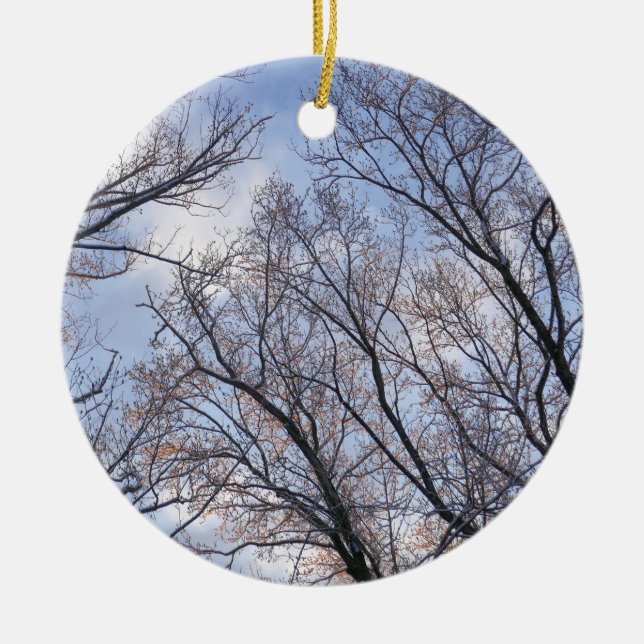 Looking Up to Winter Morning Trees Ceramic Ornament (Front)