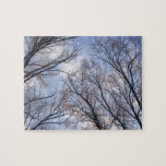 Looking Up to Winter Morning Trees Jigsaw Puzzle