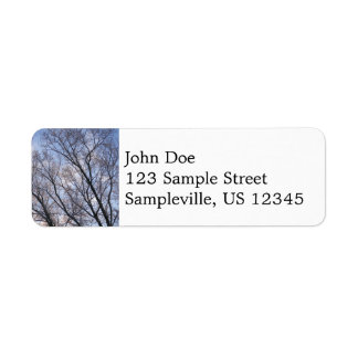 Looking Up to Winter Morning Trees Label