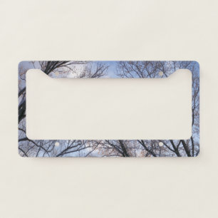 Looking Up to Winter Morning Trees License Plate Frame