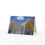 Looking Up to Yellow Poplar Trees I Card