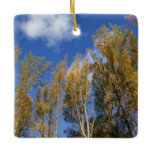 Looking Up to Yellow Poplar Trees I Ceramic Ornament