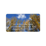 Looking Up to Yellow Poplar Trees I Label