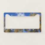 Looking Up to Yellow Poplar Trees I License Plate Frame