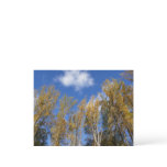 Looking Up to Yellow Poplar Trees I Postcard