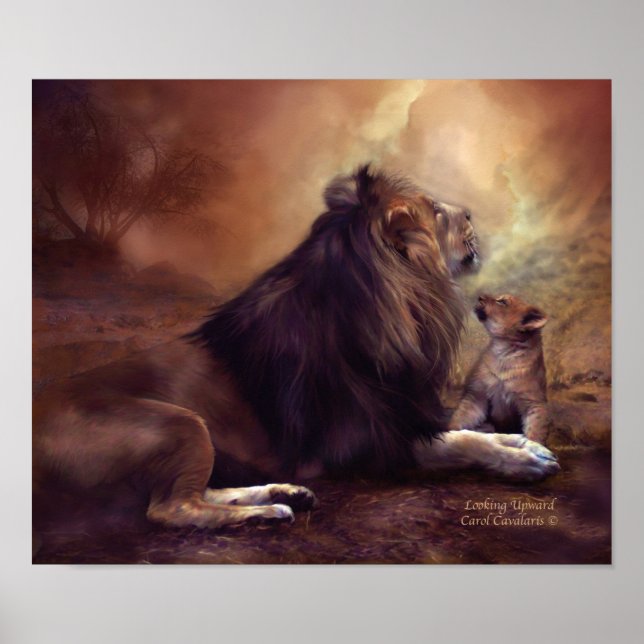 Looking Upward Art Poster/Print Poster (Front)