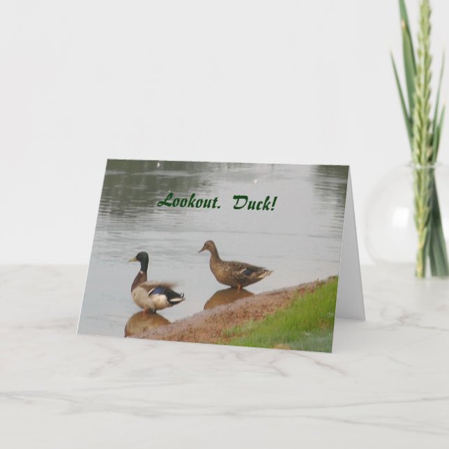 Lookout.  Duck! Birthday card (Front)