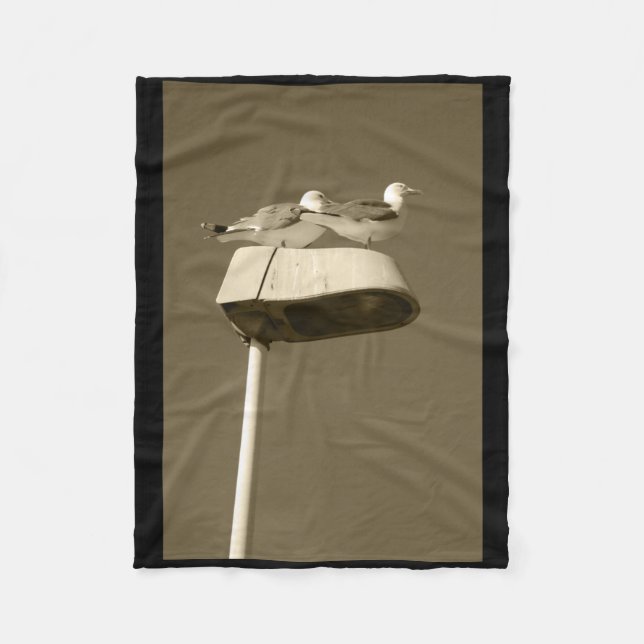 Lookout Post Lanzarote Tint Vertical Sticker  Fleece Blanket (Front)