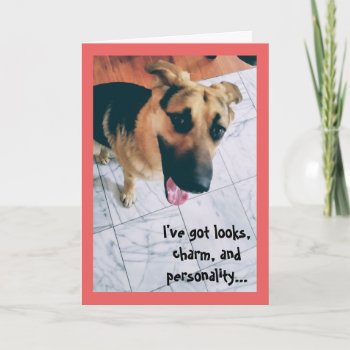 Looks And Personality Dog Valentine Holiday Card by busycrowstudio at Zazzle