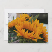 Looks Like a Sunflower (Front)