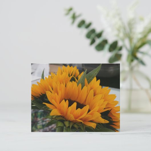 Looks Like a Sunflower (Standing Front)