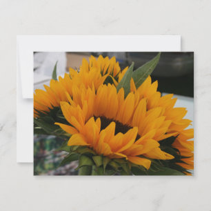 Looks Like a Sunflower