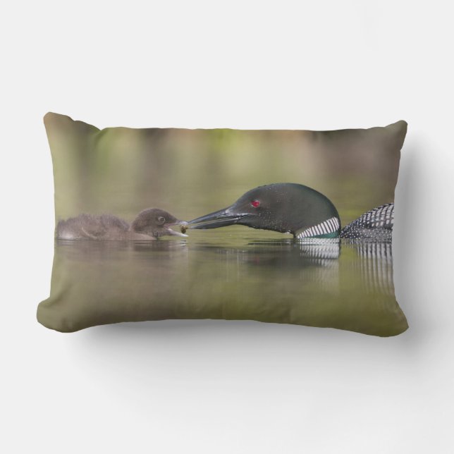 Loon Adult Feeds Chick Lumbar Pillow (Front)