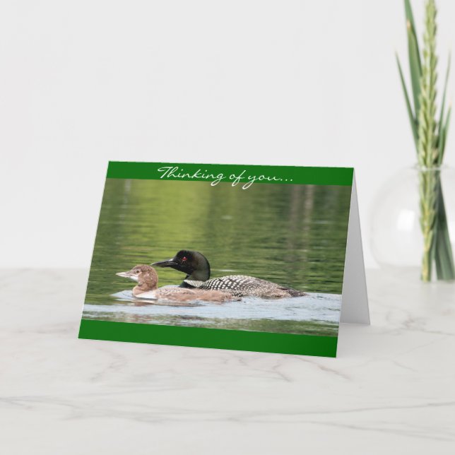 Loon and baby - thinking of you card (Front)