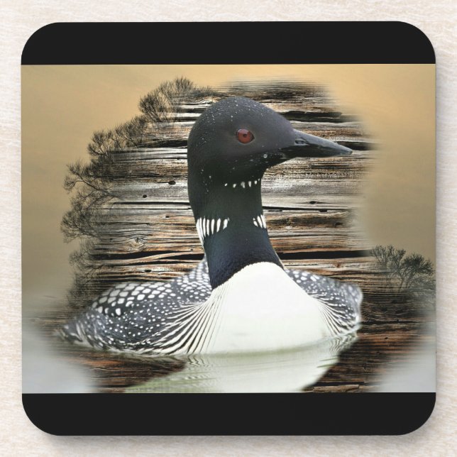 Loon Beverage Coaster (Front)