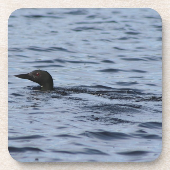 Loon Beverage Coaster (Front)