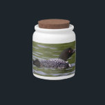 Loon Candy Jar<br><div class="desc">Loon</div>
