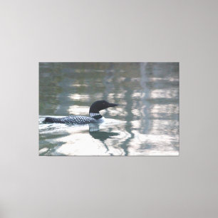 Loon Canvas Print
