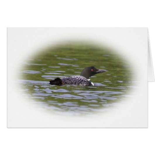 Loon Cards (Front Horizontal)