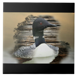 Loon Ceramic Tile