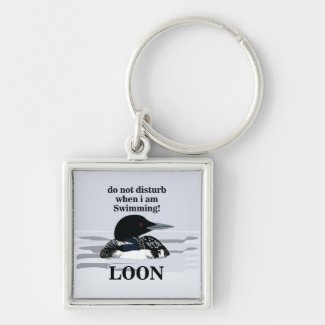 Loon Common Loon Bird Lake Funny