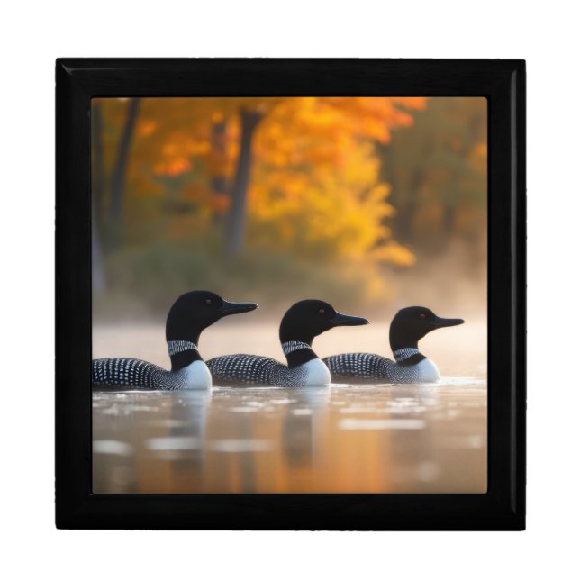 Loon Family in Autumn Gift Box (Front)