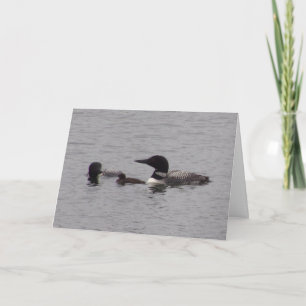 Loon Family Note Card