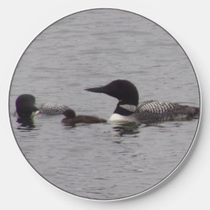 Loon Family Wireless Charger