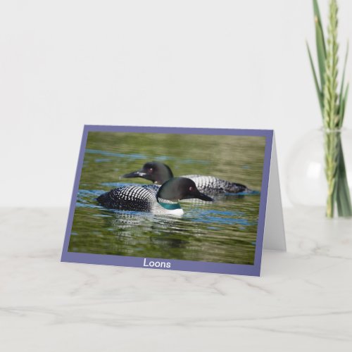 Loon Greeting Card