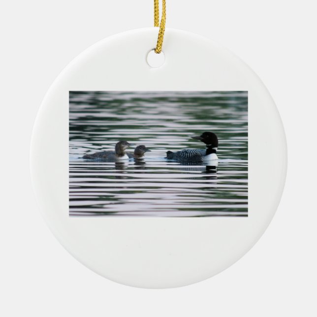 Loon mom with chicks ceramic ornament (Front)