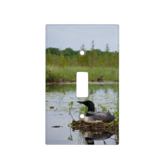 Loon on Nest 2 Light Switch Cover