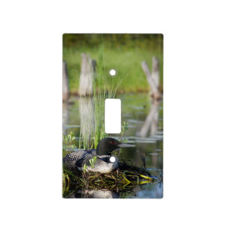 Loon on Nest Light Switch Cover