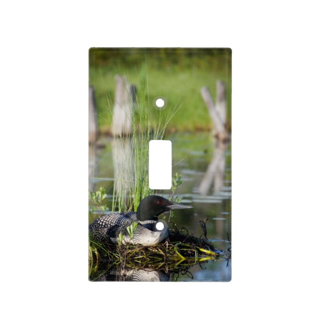 Loon on Nest Light Switch Cover (Front)
