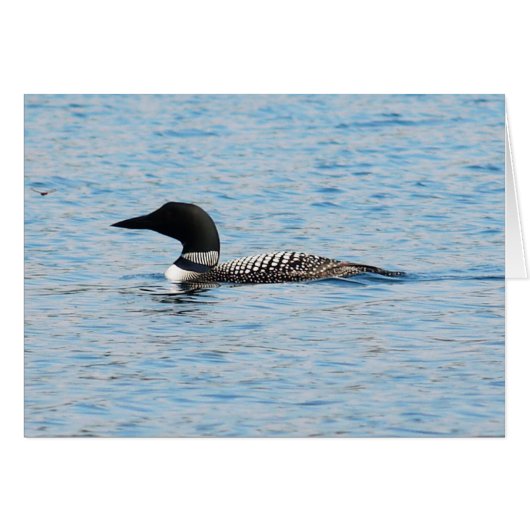Loon Silhouette Cards (Front Horizontal)