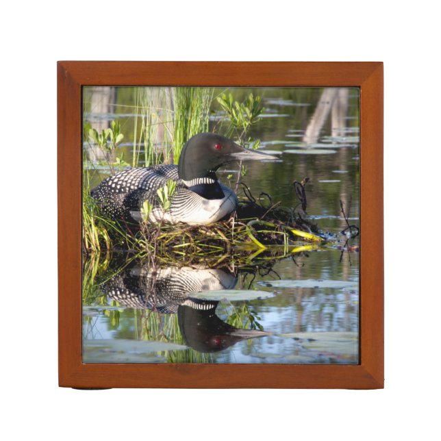 Loon sitting on its nest. pencil holder (Front)
