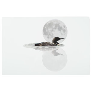 Loon Swims In The Moonlight Metal Wall Art