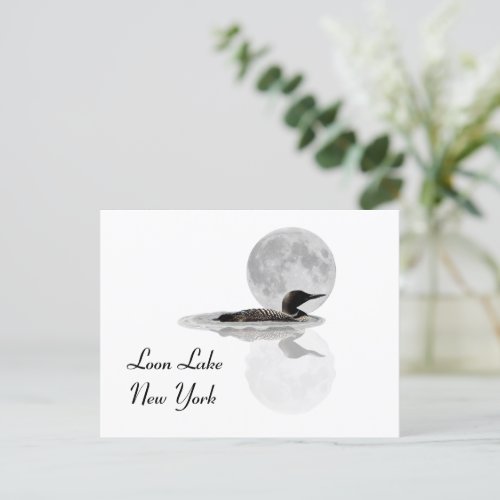 Loon Swims In The Moonlight Postcard
